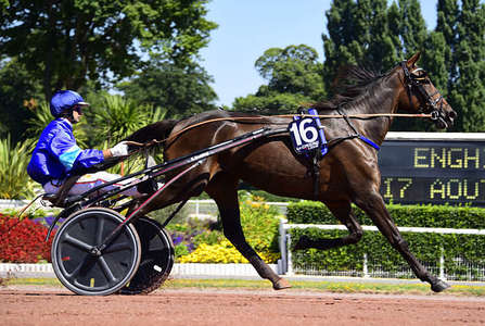 Actualités Hippiques